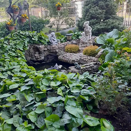 Kambariu Nuoma Pas Aleksandra