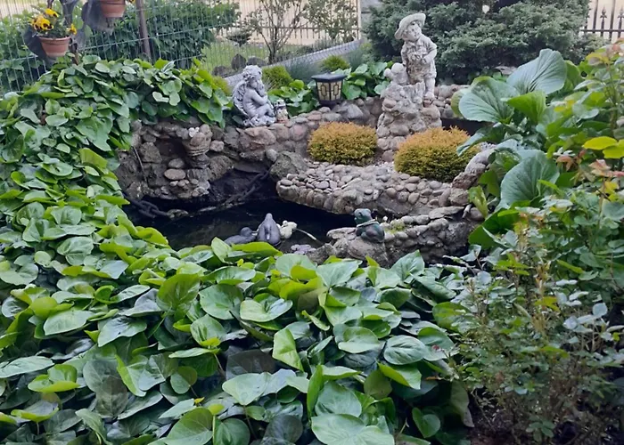 Kambariu Nuoma Pas Aleksandra