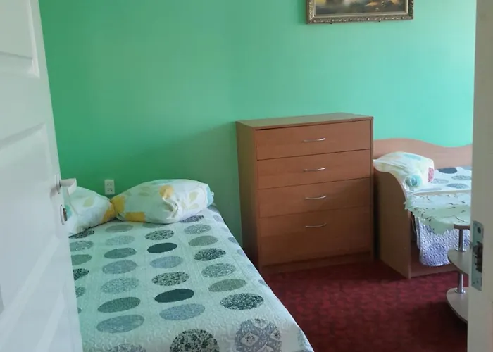 Kambariu Nuoma Pas Aleksandra 民宿 *